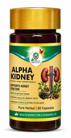 Alpha Kidney Capsules herbal supplement bottle with 60 capsules for kidney health and urinary tract wellness support